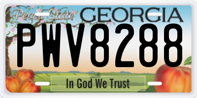 GA license plate PWV8288