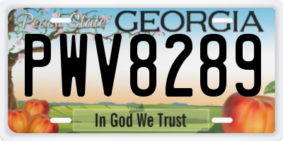 GA license plate PWV8289