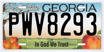 GA license plate PWV8293