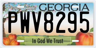 GA license plate PWV8295