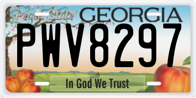 GA license plate PWV8297