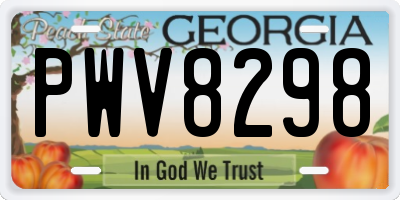 GA license plate PWV8298