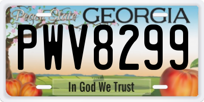 GA license plate PWV8299