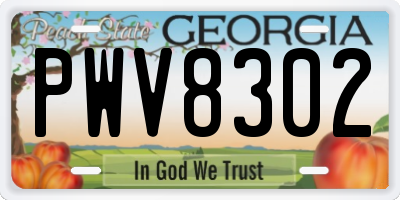 GA license plate PWV8302