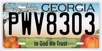 GA license plate PWV8303