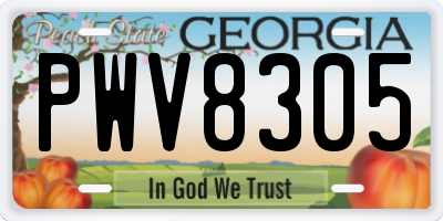 GA license plate PWV8305