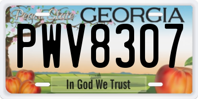 GA license plate PWV8307