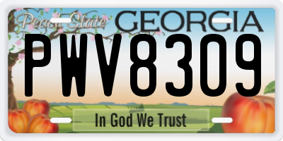 GA license plate PWV8309