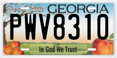 GA license plate PWV8310
