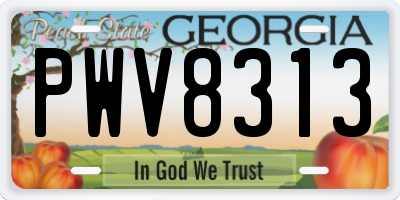 GA license plate PWV8313