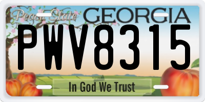 GA license plate PWV8315