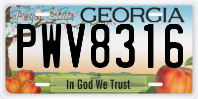 GA license plate PWV8316