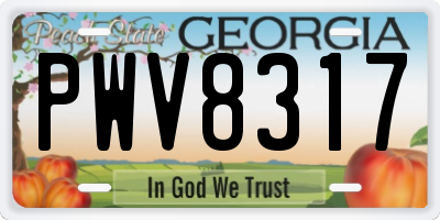GA license plate PWV8317