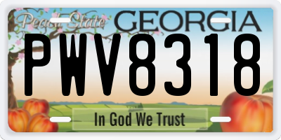 GA license plate PWV8318