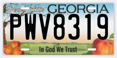 GA license plate PWV8319