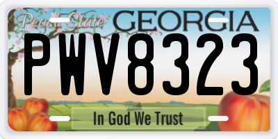 GA license plate PWV8323