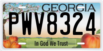 GA license plate PWV8324