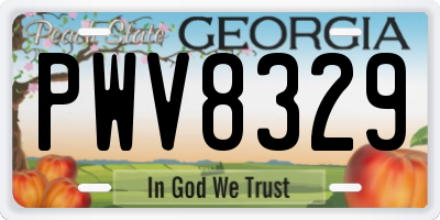 GA license plate PWV8329
