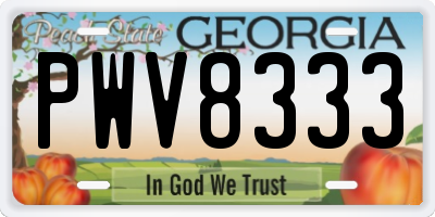 GA license plate PWV8333