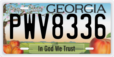 GA license plate PWV8336