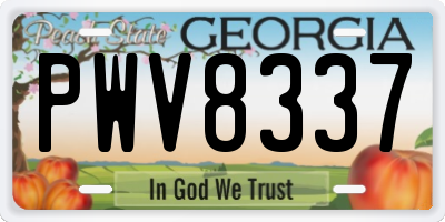 GA license plate PWV8337