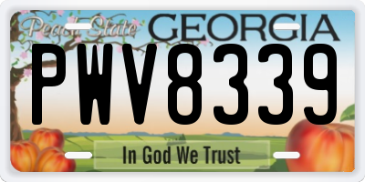 GA license plate PWV8339