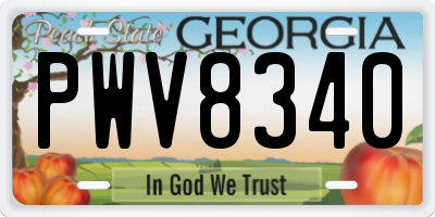 GA license plate PWV8340