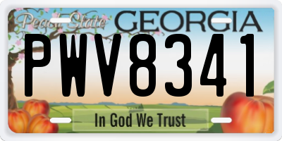 GA license plate PWV8341