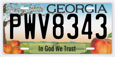GA license plate PWV8343