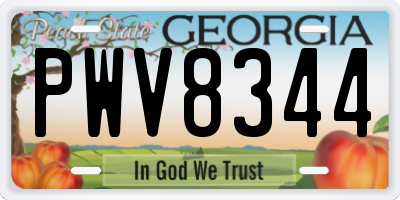 GA license plate PWV8344