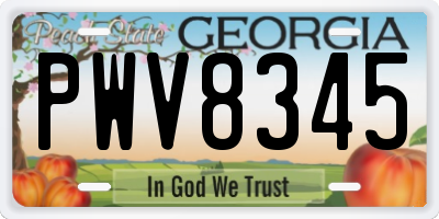 GA license plate PWV8345