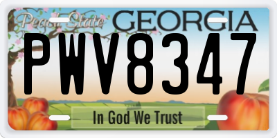 GA license plate PWV8347