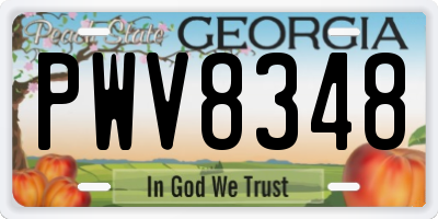 GA license plate PWV8348