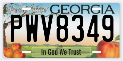 GA license plate PWV8349