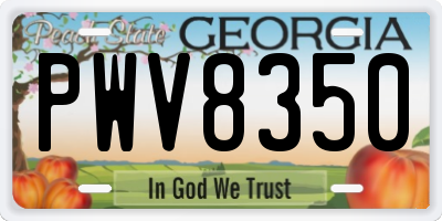 GA license plate PWV8350