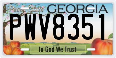 GA license plate PWV8351