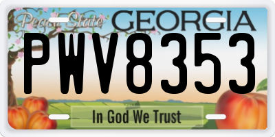 GA license plate PWV8353