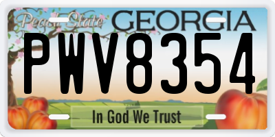 GA license plate PWV8354