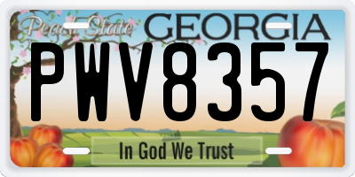GA license plate PWV8357