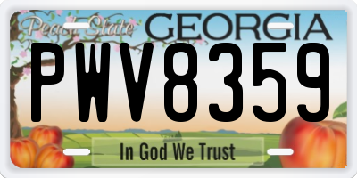 GA license plate PWV8359