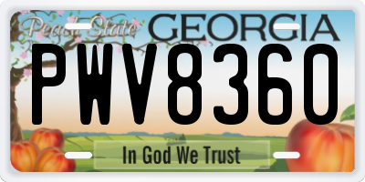 GA license plate PWV8360