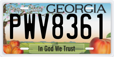 GA license plate PWV8361