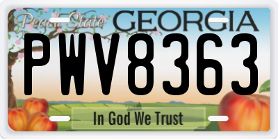 GA license plate PWV8363