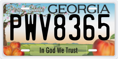 GA license plate PWV8365