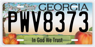 GA license plate PWV8373
