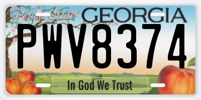 GA license plate PWV8374