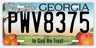 GA license plate PWV8375