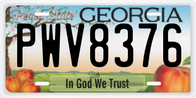 GA license plate PWV8376