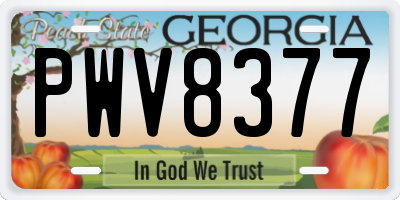 GA license plate PWV8377