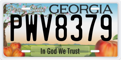 GA license plate PWV8379